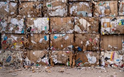 Lean Management – 8 vormen van verspilling